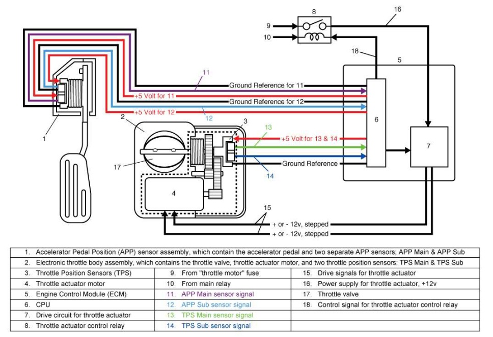 Accelerator Pedal Position Sensor Wiring Diagram