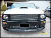 Ugly Mustang GT?-blackedoutplate-mustang-1.jpg