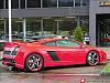 Gallardo Photoshop Request, Pleeeeeease....-gallardo.jpg