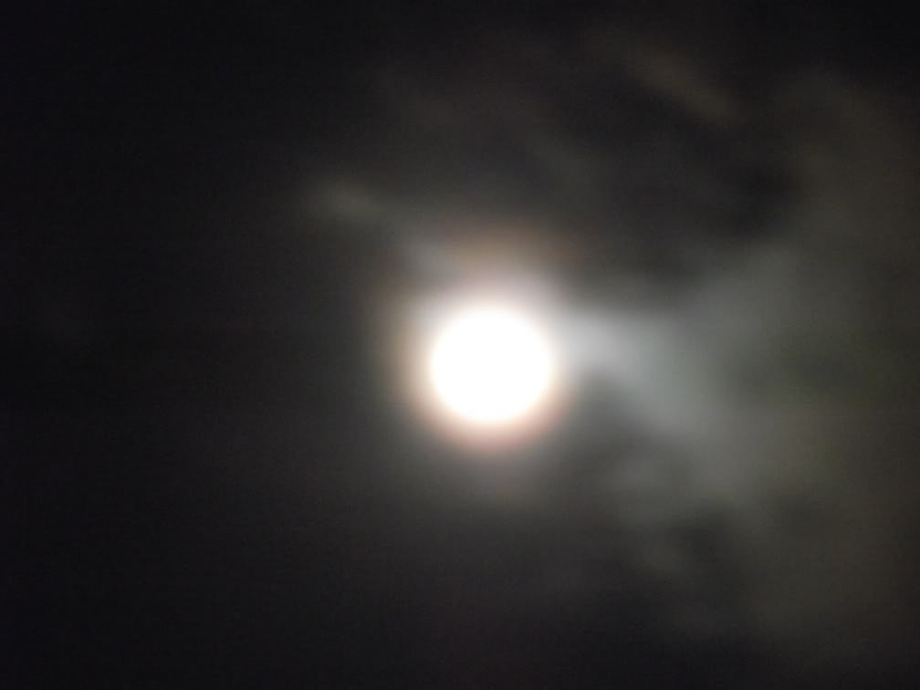 Name:  Moon2011017.jpg
Views: 8
Size:  25.1 KB