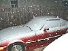 SNOW in HOUSTON!!!!-dscf0693.jpg