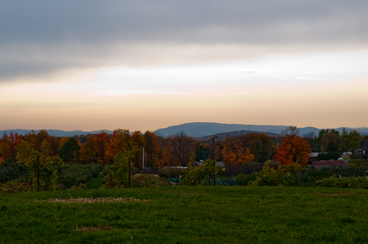 Name:  Apple_Picking_10_0263.jpg
Views: 20
Size:  260.7 KB