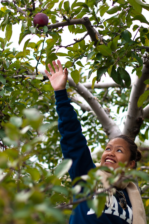 Name:  Apple_Picking_10_0227copy.jpg
Views: 20
Size:  424.1 KB