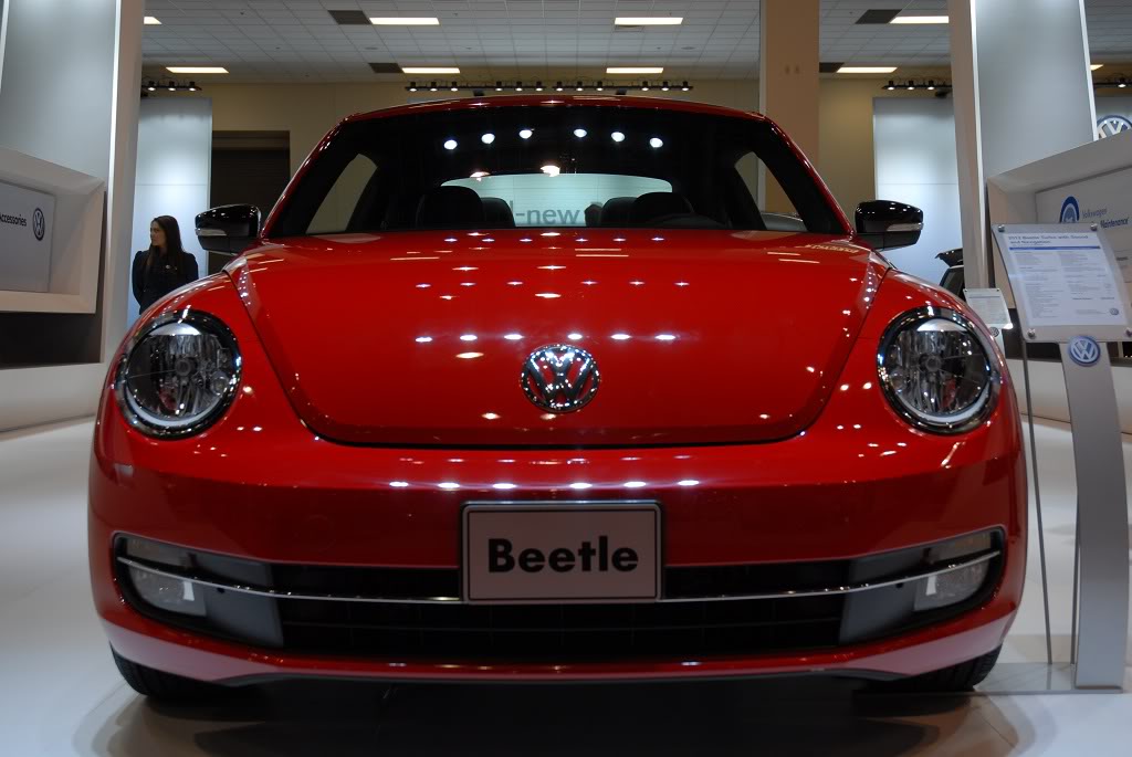 Name:  Beetle2.jpg
Views: 89
Size:  87.8 KB