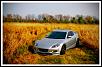 two from the back yard-rx8_backyard_tallgrass.jpg