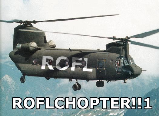 Name:  ROFLCOPTER.png
Views: 39
Size:  271.5 KB