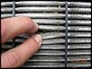 Oil In My Air Filter...-new-car-025.jpg