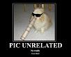 I Love Techron!-2587-animals-cat-paper_tube-pic-unrelated-sunglasses.jpg