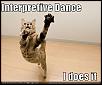K1 Speed Meet!-funny-pictures-interpretive-dance-cat.jpg