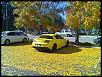 San Bernardino monthly Mazda meet and drive.-leaves-8-2-.jpg