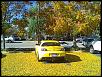 San Bernardino monthly Mazda meet and drive.-leaves-8-3-.jpg