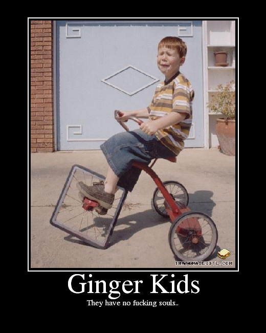 Name:  GingerKids.png
Views: 55
Size:  264.0 KB