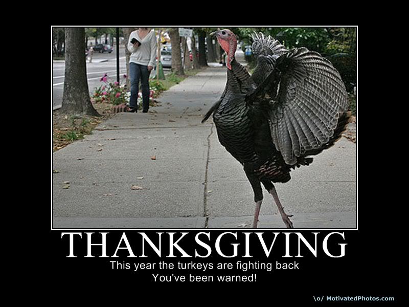 Name:  thanksgiving.jpg
Views: 32
Size:  72.4 KB