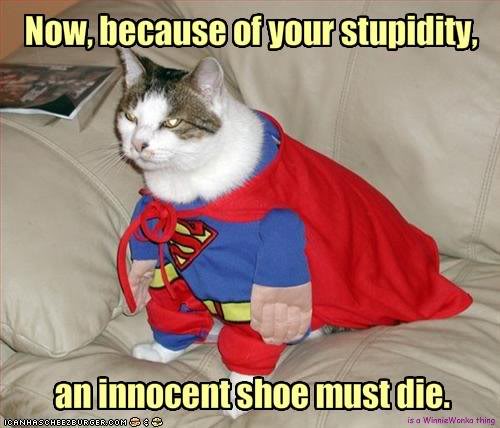 Name:  SuperCat.jpg
Views: 15
Size:  39.1 KB