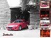 San Bernardino Meet Calendar-zoo-final-ver3-fina-request-barn-top.jpg